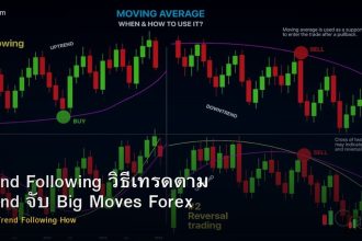 Trend Following วิธีเทรดตาม Trend จับ Big Moves Forex