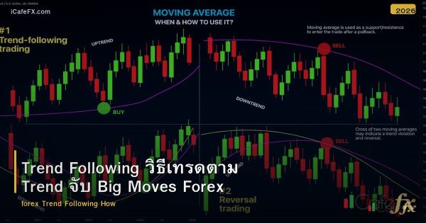Trend Following วิธีเทรดตาม Trend จับ Big Moves Forex