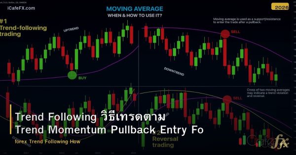 Trend Following วิธีเทรดตาม Trend Momentum Pullback Entry Forex