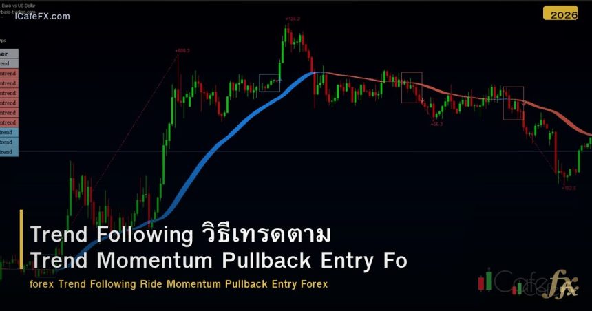 Trend Following วิธีเทรดตาม Trend Momentum Pullback Entry Forex