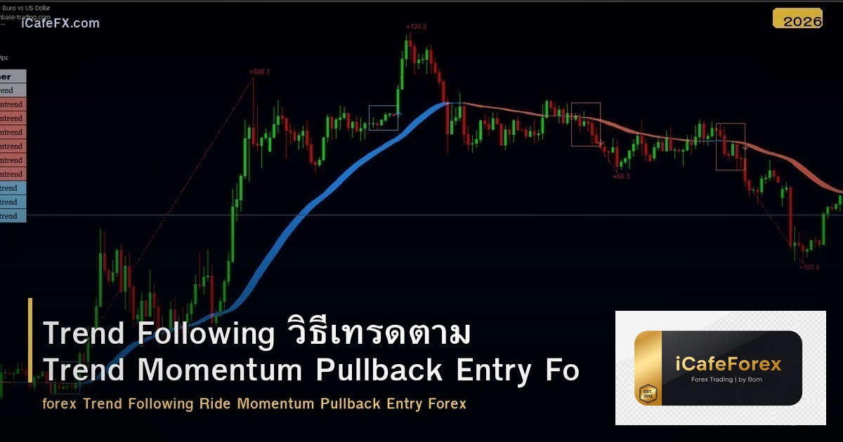 Trend Following วิธีเทรดตาม Trend Momentum Pullback Entry Forex