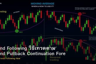 Trend Following วิธีเทรดตาม Trend Pullback Continuation Forex