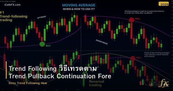 Trend Following วิธีเทรดตาม Trend Pullback Continuation Forex