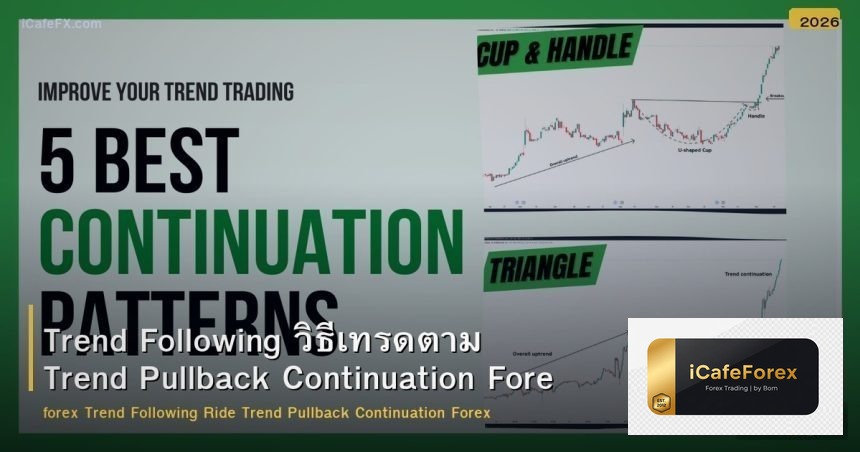 Trend Following วิธีเทรดตาม Trend Pullback Continuation Forex