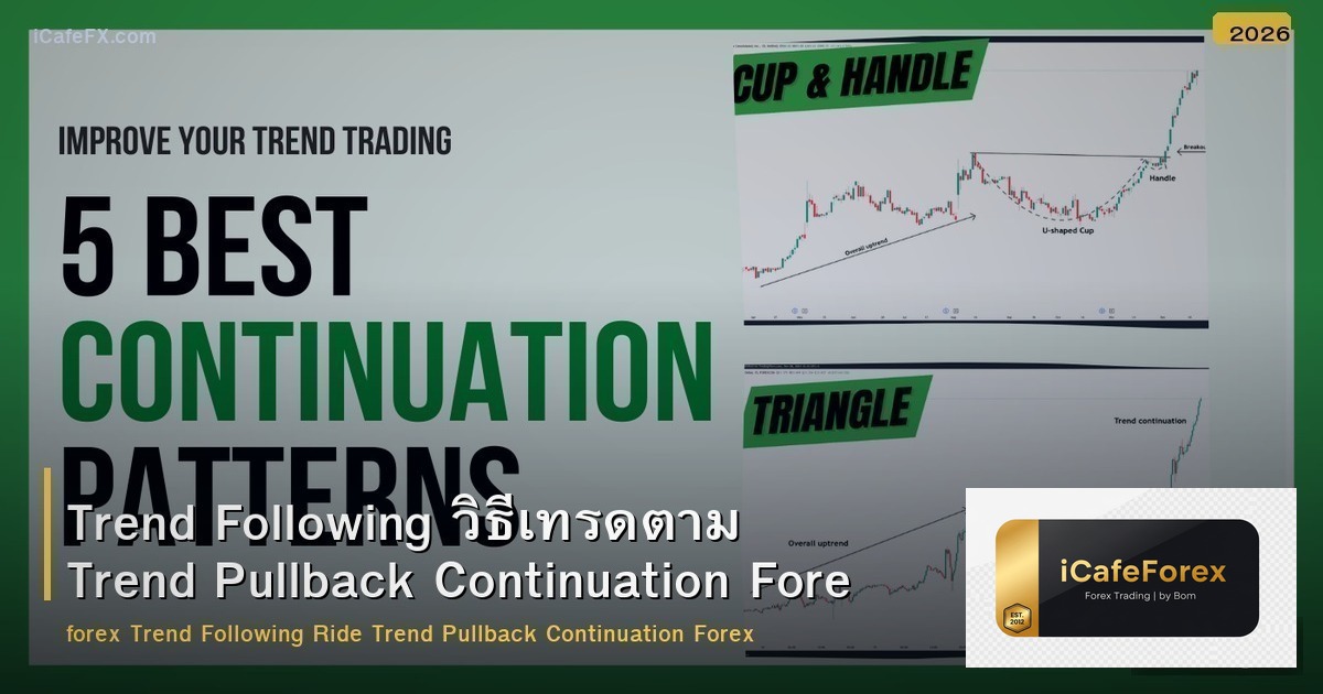Trend Following วิธีเทรดตาม Trend Pullback Continuation Forex