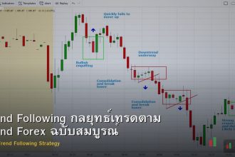 Trend Following กลยุทธ์เทรดตาม Trend Forex ฉบับสมบูรณ์