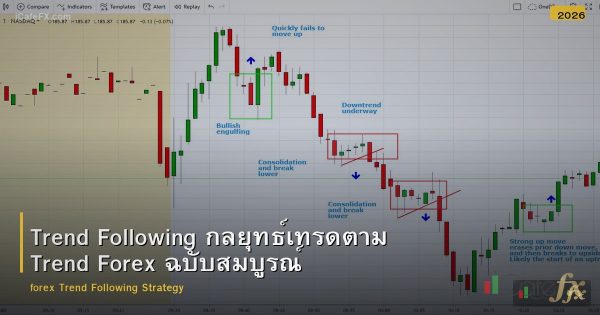 Trend Following กลยุทธ์เทรดตาม Trend Forex ฉบับสมบูรณ์