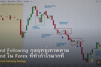 Trend Following กลยุทธ์เทรดตาม Trend ใน Forex ที่ทำกำไรมากที่สุด