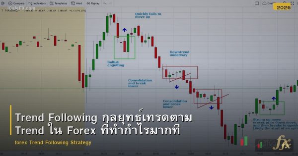 Trend Following กลยุทธ์เทรดตาม Trend ใน Forex ที่ทำกำไรมากที่สุด
