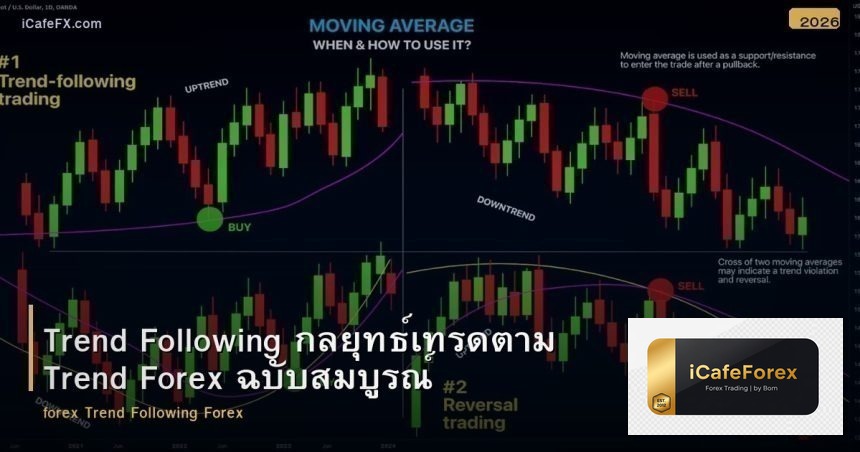 Trend Following กลยุทธ์เทรดตาม Trend Forex ฉบับสมบูรณ์