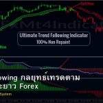 Trend Following กลยุทธ์เทรดตาม Trend ระยะยาว Forex