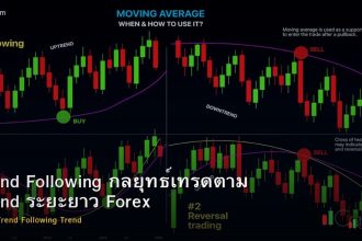 Trend Following กลยุทธ์เทรดตาม Trend ระยะยาว Forex