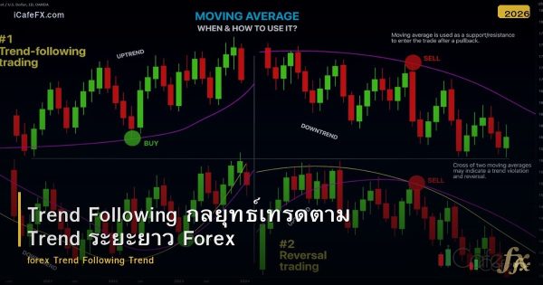 Trend Following กลยุทธ์เทรดตาม Trend ระยะยาว Forex