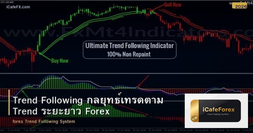 Trend Following กลยุทธ์เทรดตาม Trend ระยะยาว Forex