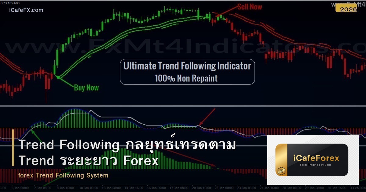 Trend Following กลยุทธ์เทรดตาม Trend ระยะยาว Forex