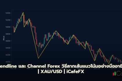Trendline วิธีลากเส้นแนวโน้มและ Channel Forex