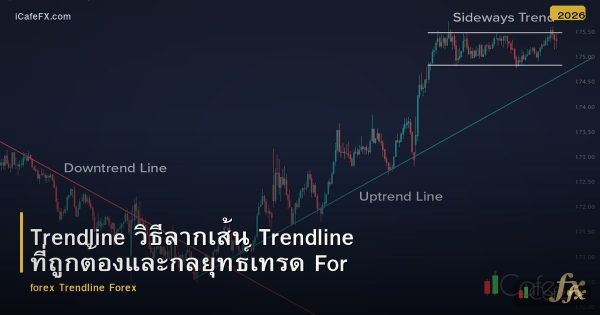 Trendline วิธีลากเส้น Trendline ที่ถูกต้องและกลยุทธ์เทรด Forex