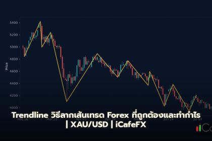 Trendline วิธีลากเส้น Trendline ที่ถูกต้องและเทรด Forex