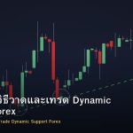 Trendline วิธีวาดและเทรด Dynamic Support Forex
