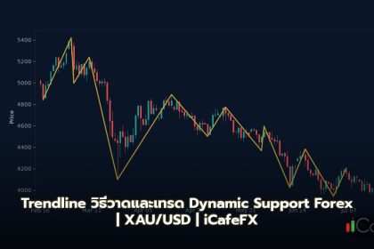 Trendline วิธีวาดและเทรด Dynamic Support Forex