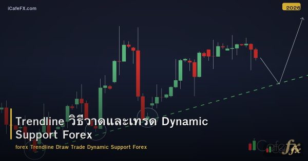 Trendline วิธีวาดและเทรด Dynamic Support Forex