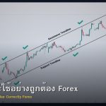 Trendline วิธีลากและใช้อย่างถูกต้อง Forex