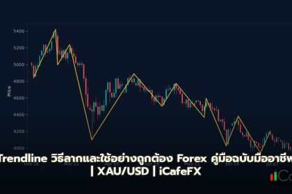 Trendline วิธีลากและใช้อย่างถูกต้อง Forex