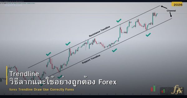 Trendline วิธีลากและใช้อย่างถูกต้อง Forex