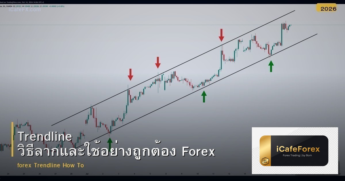 Trendline วิธีลากและใช้อย่างถูกต้อง Forex