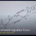Trendline วิธีวาดและเทรดอย่างถูกต้อง Forex