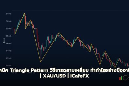 Triangle Pattern วิธีเทรดสามเหลี่ยม Ascending Descending