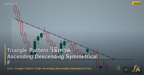 Triangle Pattern วิธีเทรด Ascending Descending Symmetrical Forex