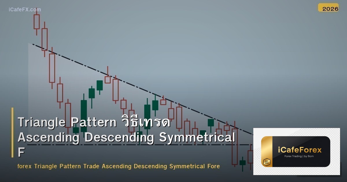 Triangle Pattern วิธีเทรด Ascending Descending Symmetrical Forex