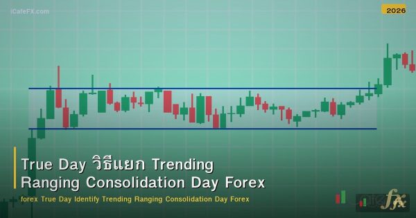 True Day วิธีแยก Trending Ranging Consolidation Day Forex