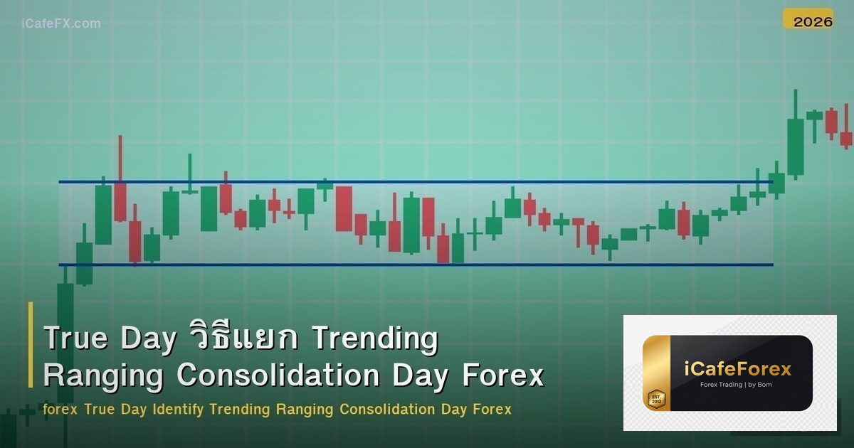 True Day วิธีแยก Trending Ranging Consolidation Day Forex