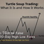 Turtle Soup วิธีเทรด False Breakout 20-Day High Low Forex