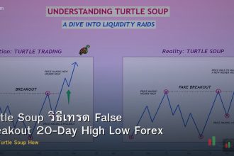 Turtle Soup วิธีเทรด False Breakout 20-Day High Low Forex