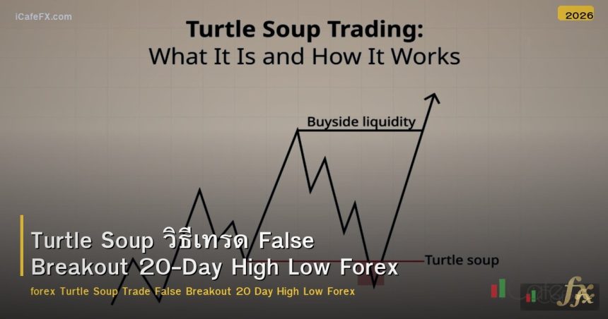 Turtle Soup วิธีเทรด False Breakout 20-Day High Low Forex