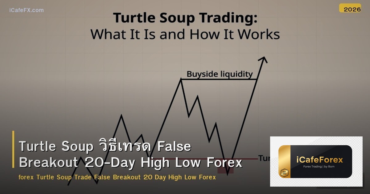 Turtle Soup วิธีเทรด False Breakout 20-Day High Low Forex