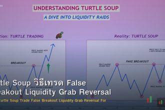 Turtle Soup วิธีเทรด False Breakout Liquidity Grab Reversal Forex