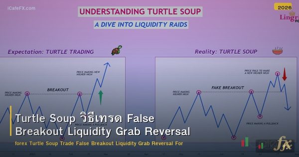 Turtle Soup วิธีเทรด False Breakout Liquidity Grab Reversal Forex
