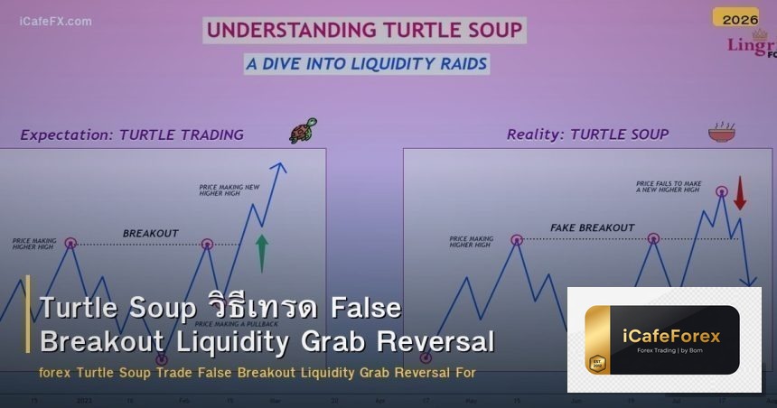 Turtle Soup วิธีเทรด False Breakout Liquidity Grab Reversal Forex