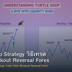 Turtle Soup Strategy วิธีเทรด False Breakout Reversal Forex