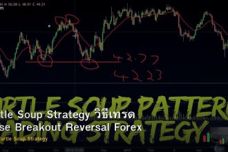 Turtle Soup Strategy วิธีเทรด False Breakout Reversal Forex