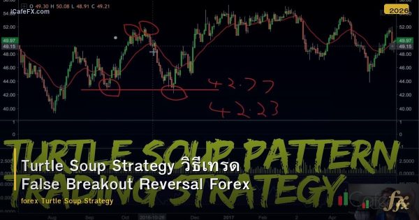 Turtle Soup Strategy วิธีเทรด False Breakout Reversal Forex
