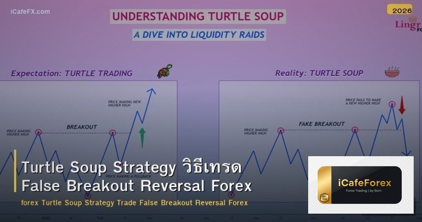 Turtle Soup Strategy วิธีเทรด False Breakout Reversal Forex