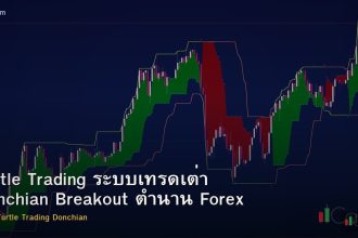 Turtle Trading ระบบเทรดเต่า Donchian Breakout ตำนาน Forex