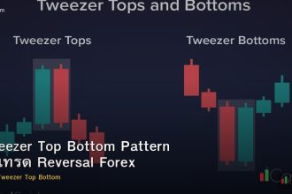 Tweezer Top Bottom Pattern วิธีเทรด Reversal Forex