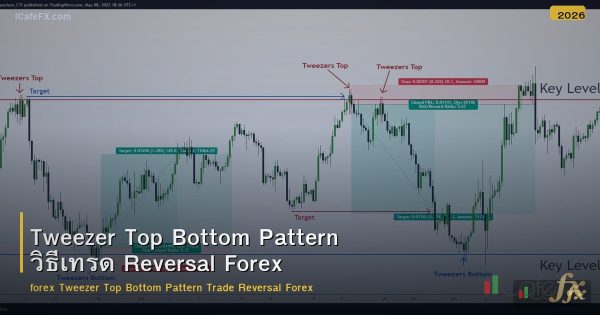 Tweezer Top Bottom Pattern วิธีเทรด Reversal Forex