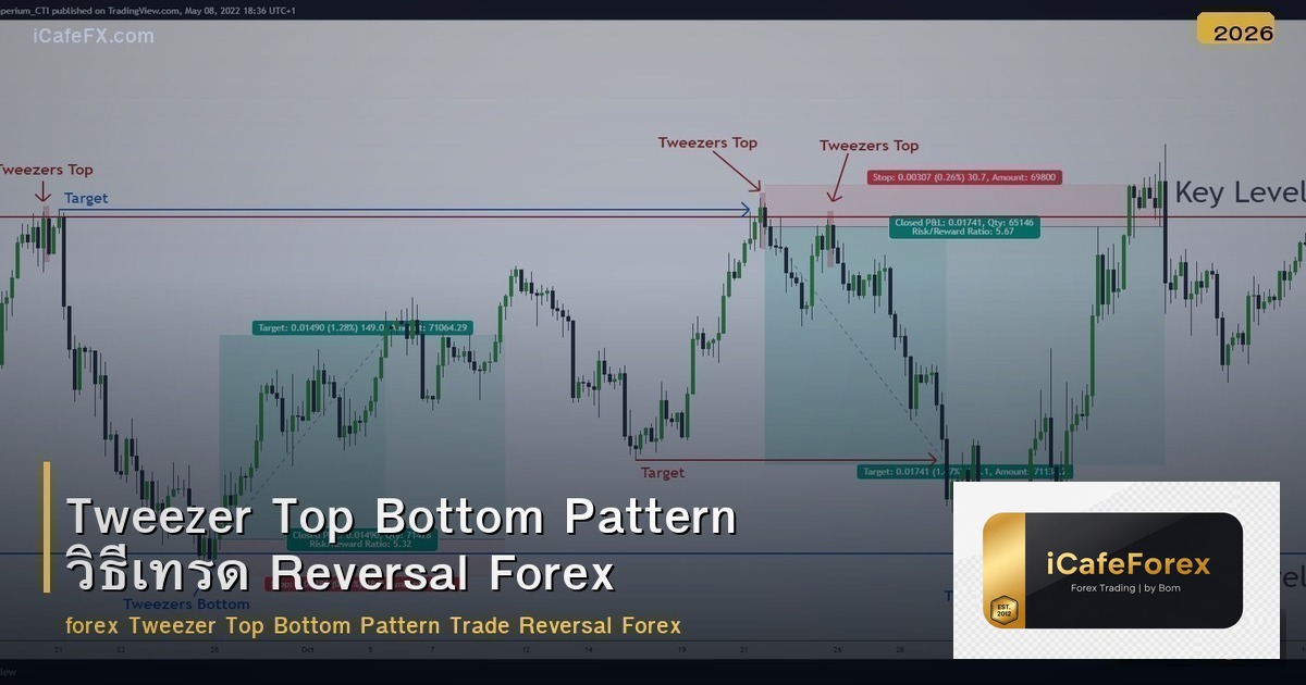 Tweezer Top Bottom Pattern วิธีเทรด Reversal Forex